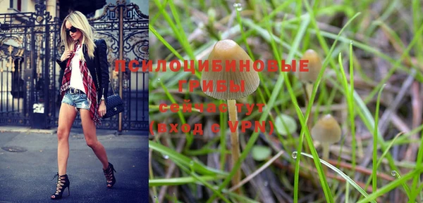 кокс Михайлов